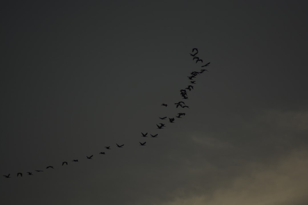 Featured Post on Mindfulness